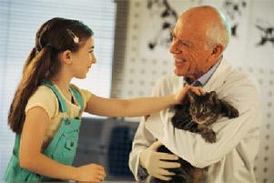 senior male veterinarian holding cat that little girl is petting