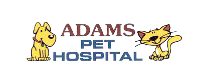 Adams Pet Hospital