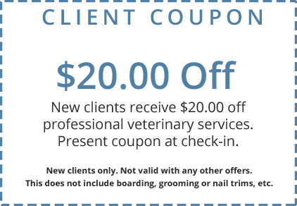 New Client Coupon